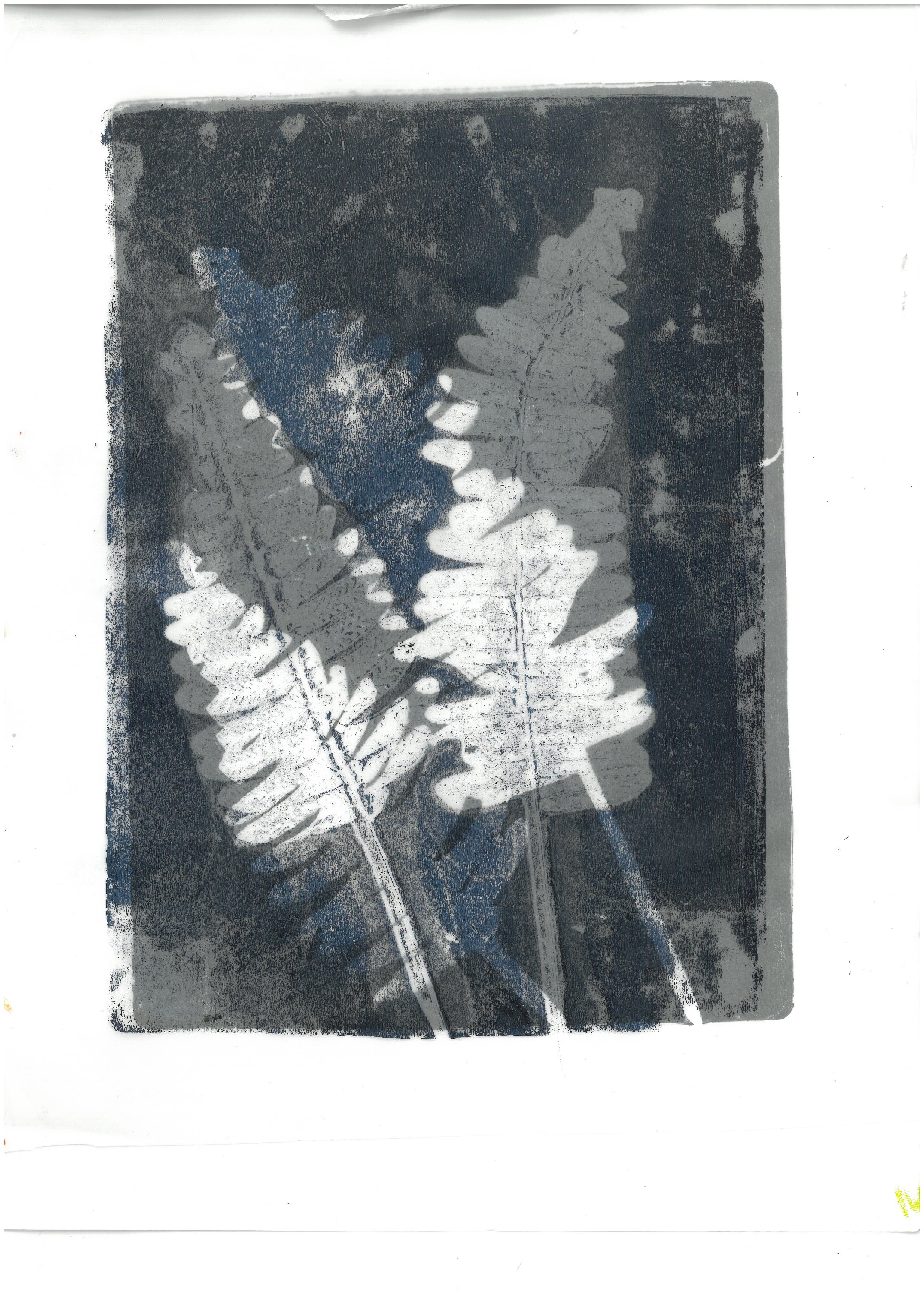 Botanical Printmaking artwork 3