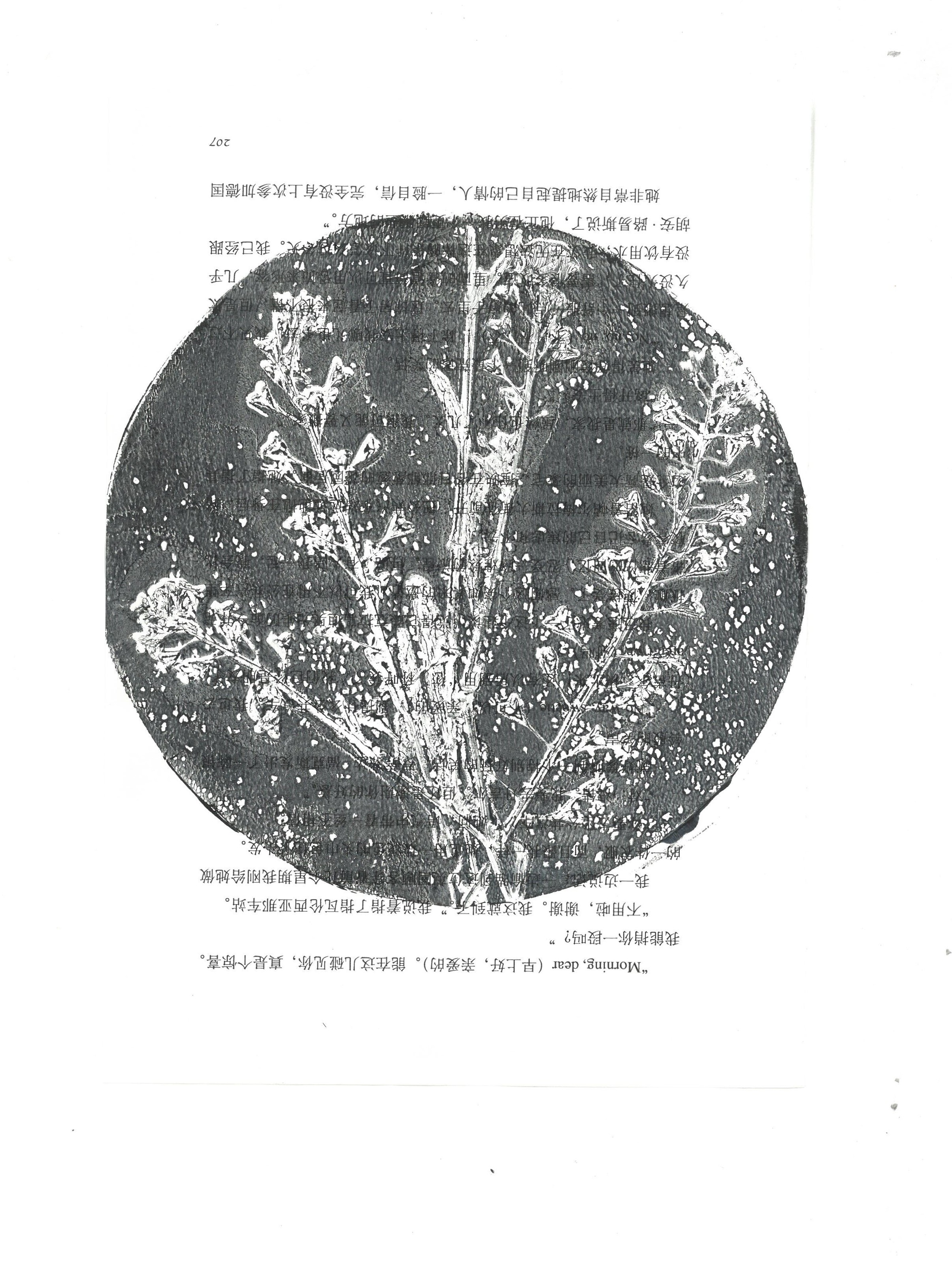 Botanical Printmaking artwork 6