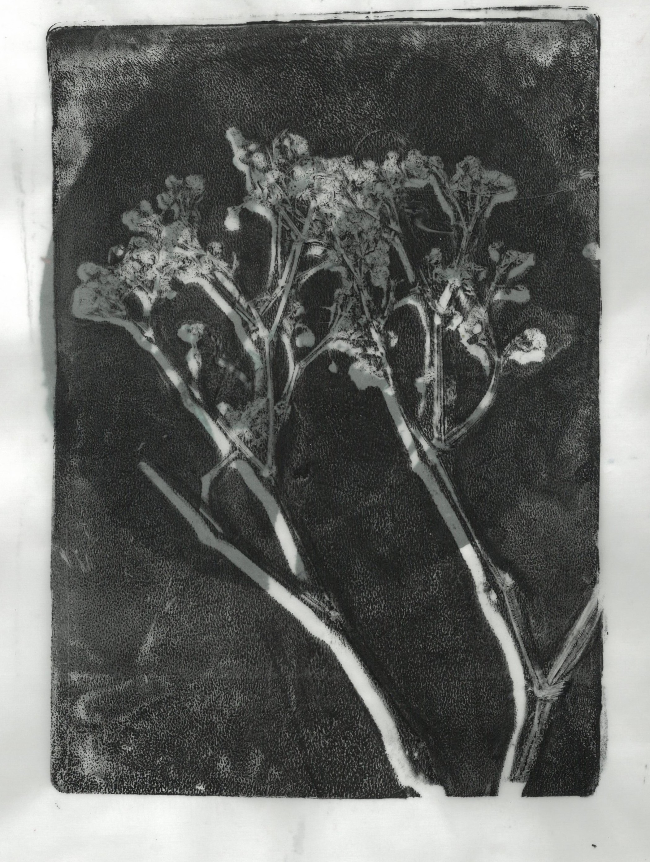 Botanical Printmaking artwork 8