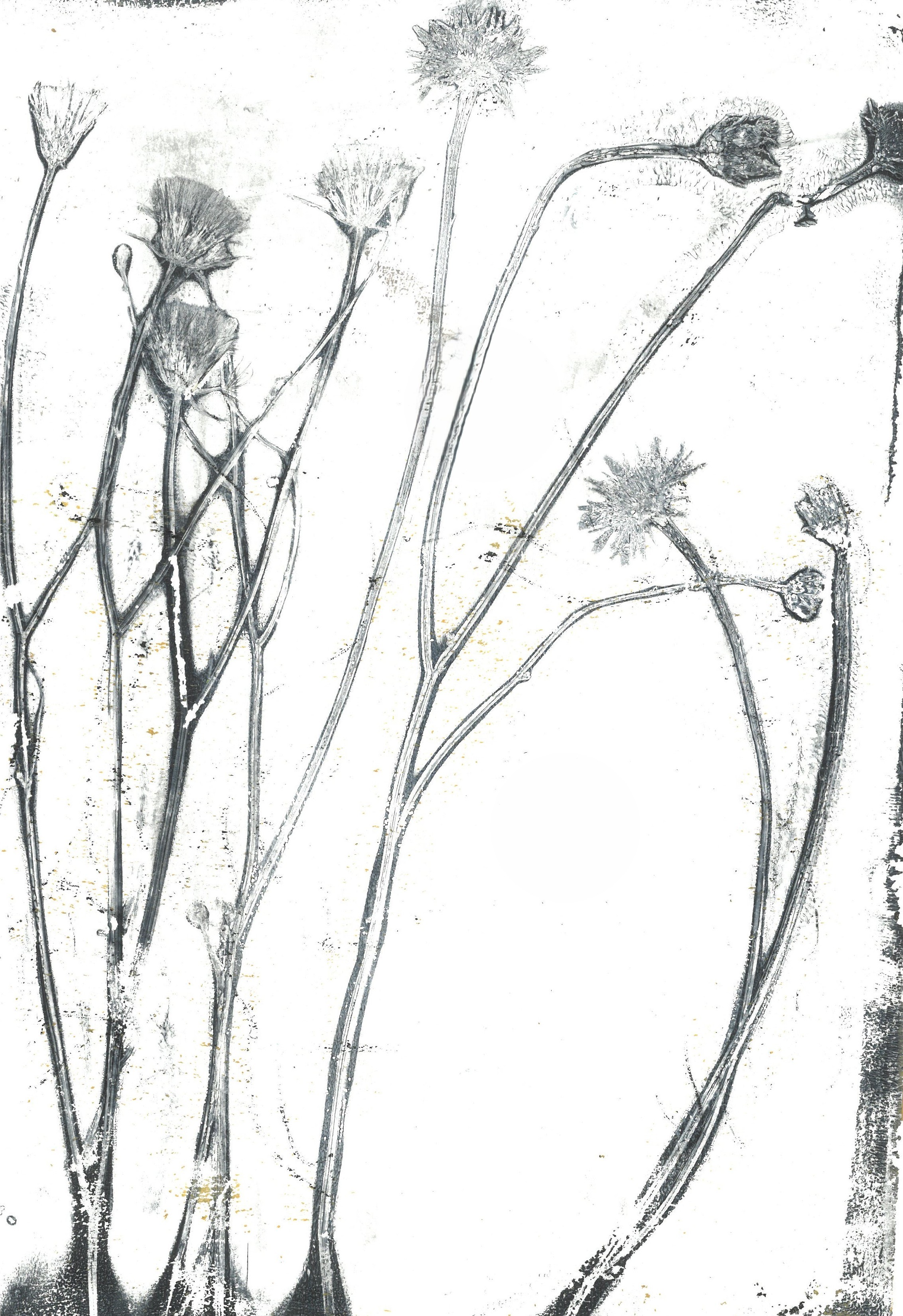 Botanical Printmaking artwork 9